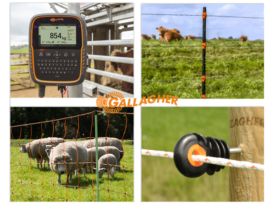 Fence tester