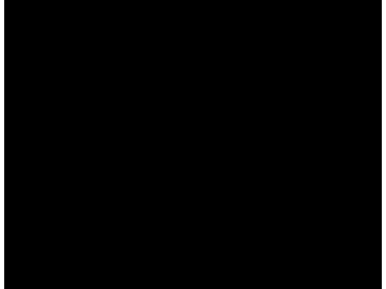 Télécommande pour les épandeurs SW 200 et SW 300