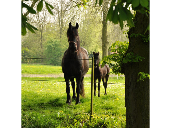 EquiFence