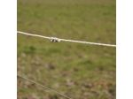 TurboLine Cord