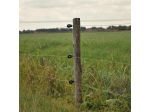 Screw-in insulator wood Super