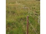 Clips Short for Insultimber/Ecopost