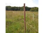Clips Long for Insultimber/Ecopost