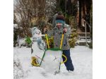 Carriola John Deere