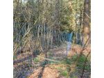 Wolf netting, Blue