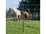 Gallagher Insulated Line Post