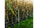 EuroNetz Wild boar netting