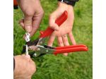 Gallagher pliers