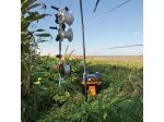 Plastic post