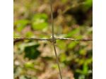 EuroNetz Wild boar netting