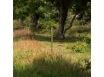 Insultimber (FSC®)