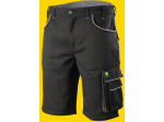 365 Shorts