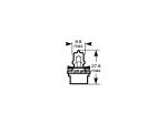 Workshop bulb pack