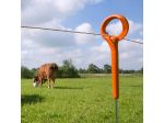 Ring-Top Pfahl