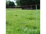 EuroNetz Sheep netting