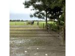 Multi strand gate kit