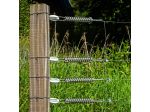 Stahlspannfeder für 2,5 mm / 2,65 mm Draht/EquiFence (1)