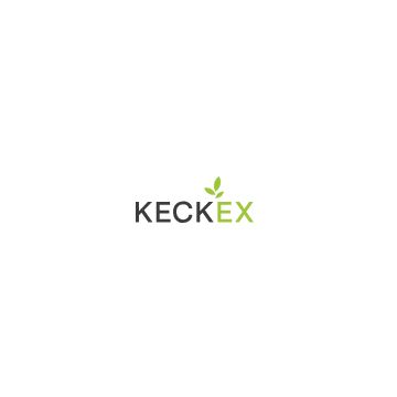 6.02 x 2.62 O-ring for flame monitor KEC-EA-000-076