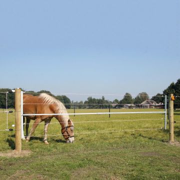 Weidetor mit Stromführung GAL-001064