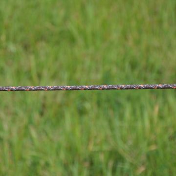 TurboLine Cord GAL-057993