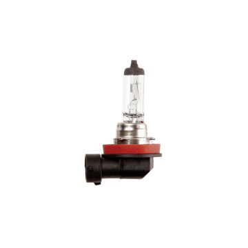 Workshop bulb pack MCXFA2211