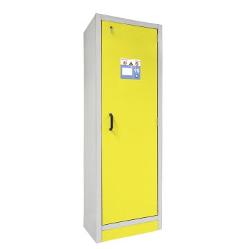 Armadi di sicurezza 6/20 - FWF90 CEM-8701