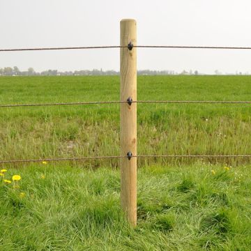 Isolateur à vis BS bois GAL-004089