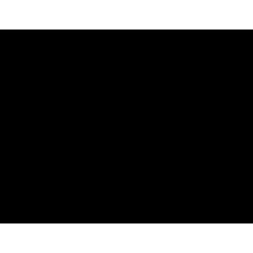 Télécommande pour les épandeurs SW 200 et SW 300 CEM-10208