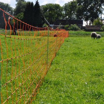 EuroNetz Sheep netting GAL-022175